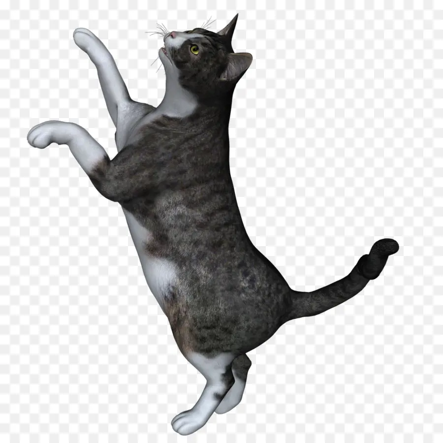 стоящий кот，серый PNG