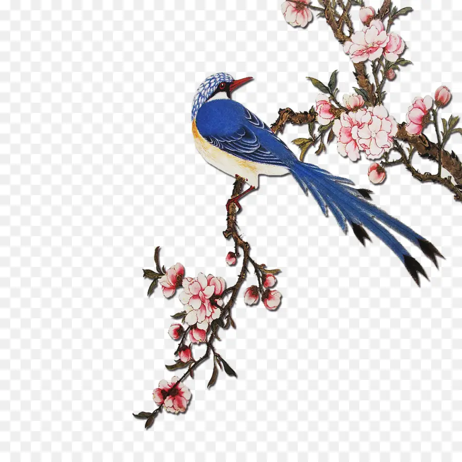 цветение персиковых деревьев，птица PNG