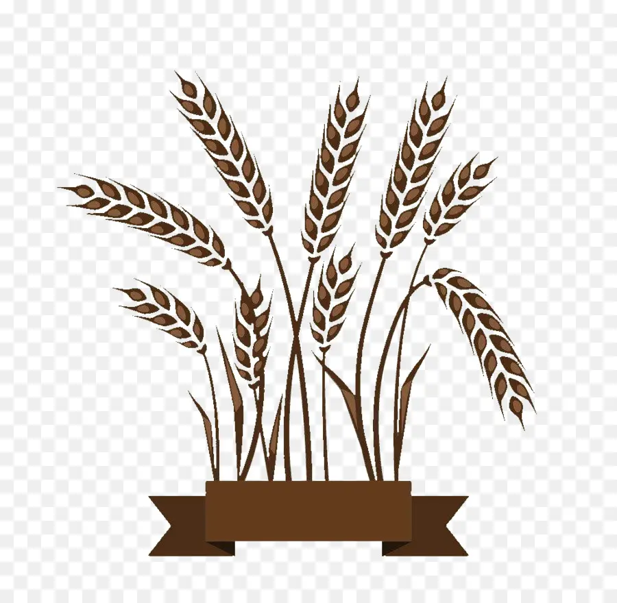 пшеницы，зародышевые хлопья PNG