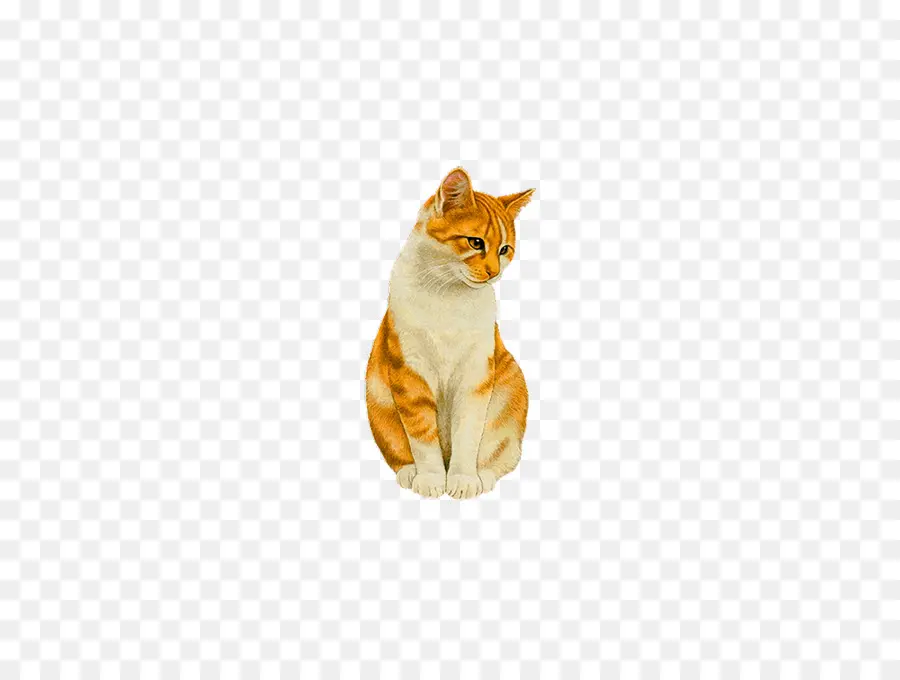 оранжевый котенок，кот PNG