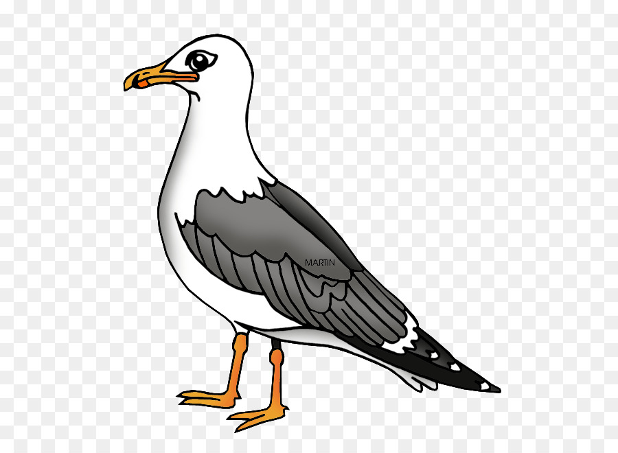 чайки，рисунок PNG