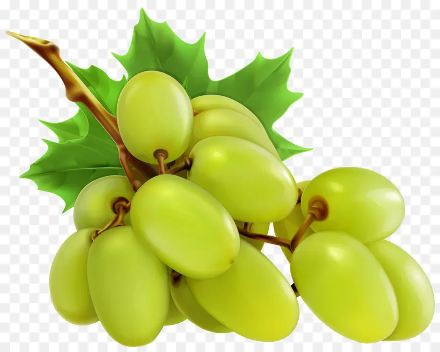 вина，виноград PNG