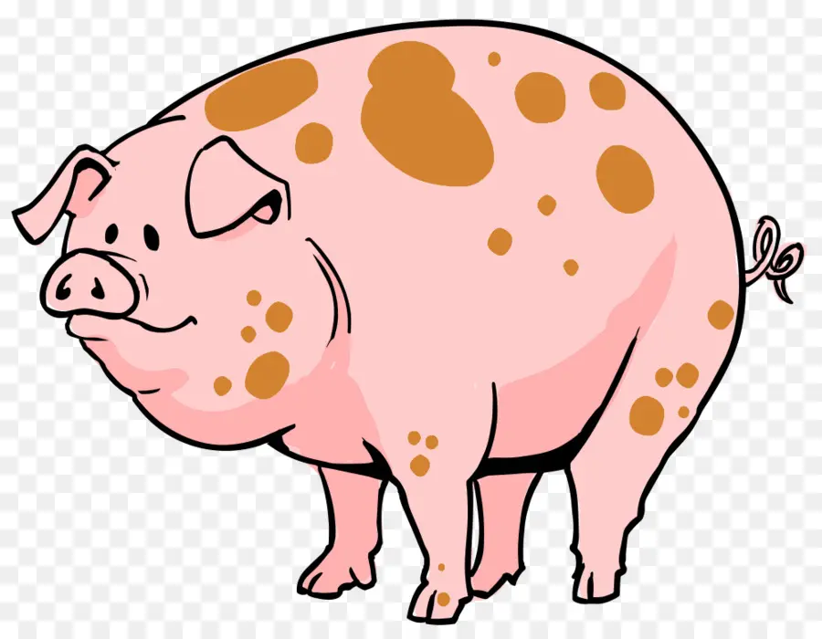 домашняя свинья，свиное ухо PNG