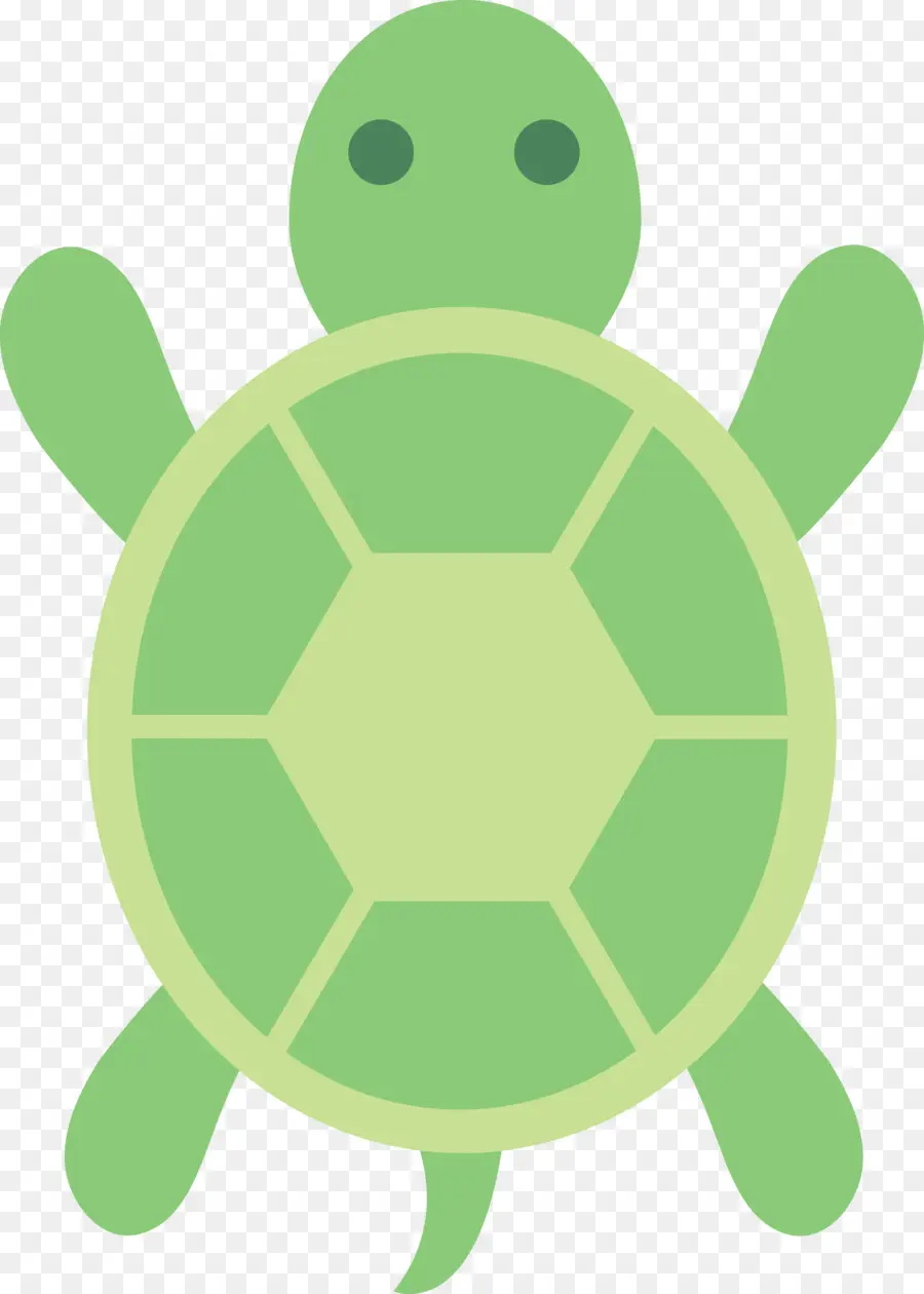 черепаха，зеленая морская черепаха PNG