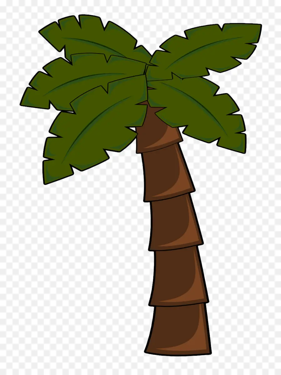 Arecaceae，дерево PNG