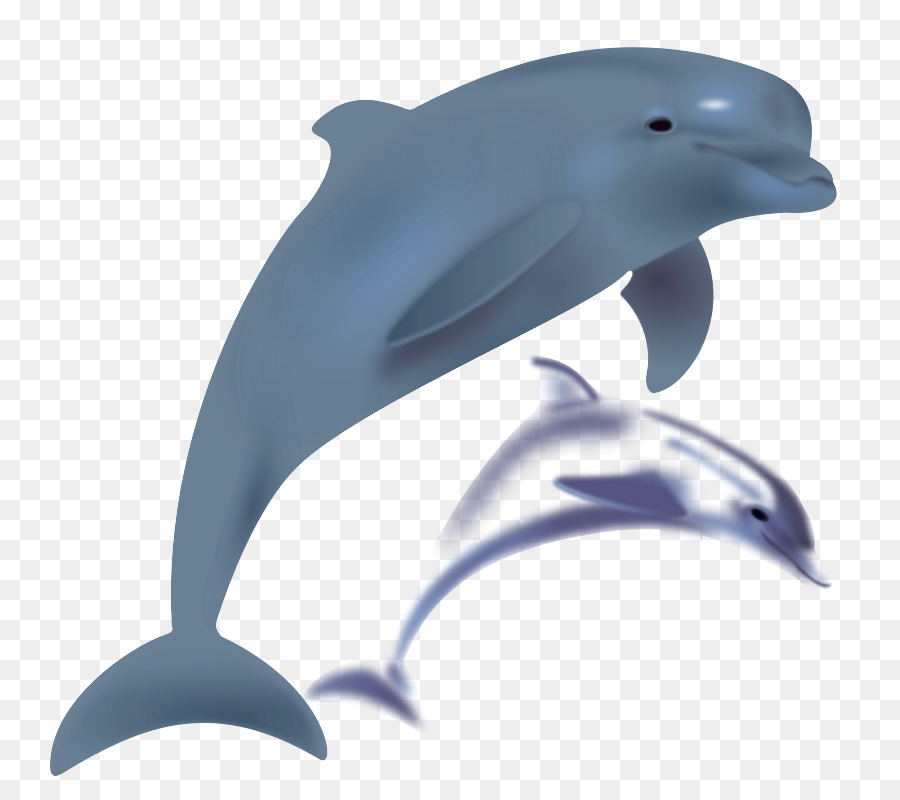 Дельфин，бесплатный контент PNG