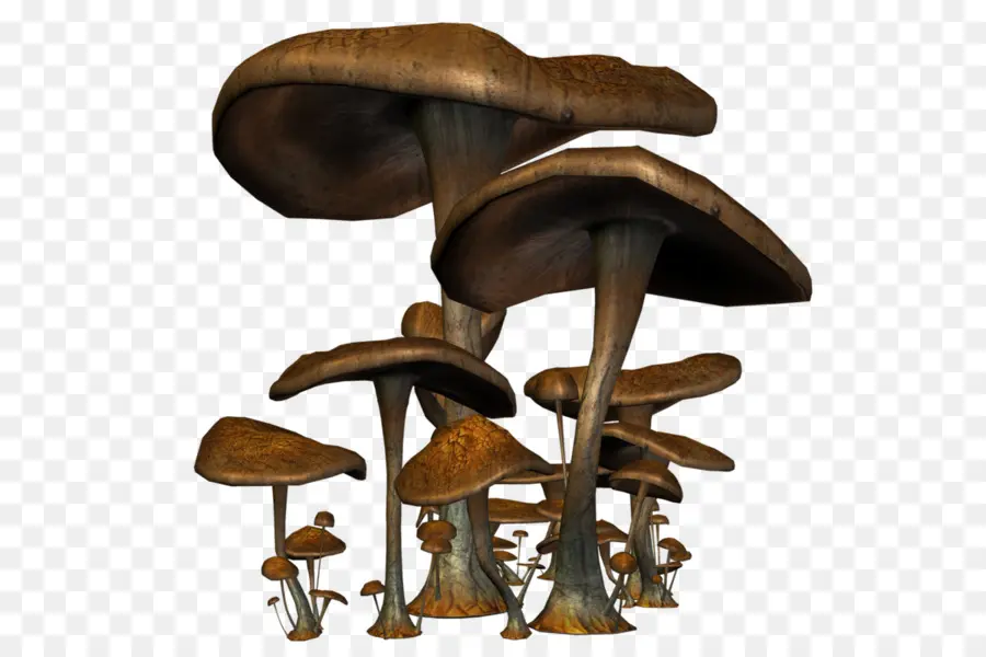 гриб，грибок PNG