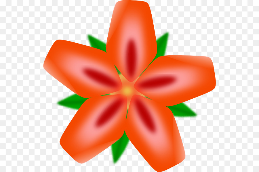 Гавайи，цветок PNG