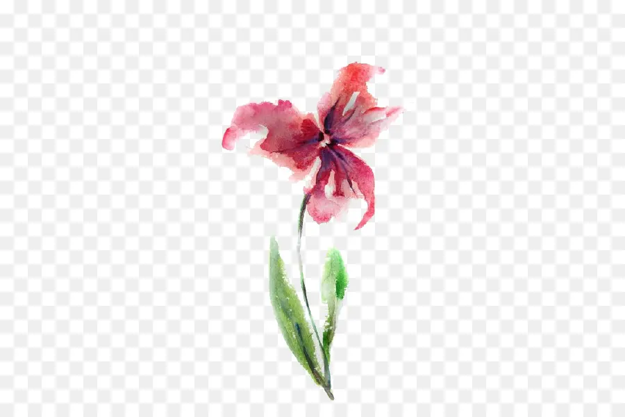 акварельные цветы，акварельная живопись PNG