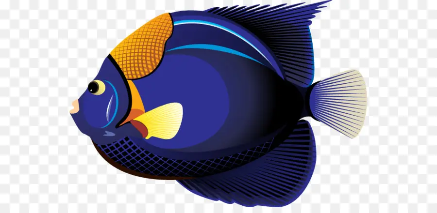 рыбы，тропические рыбы PNG