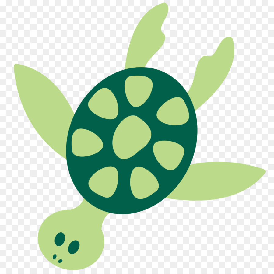 черепаха，водных животных PNG