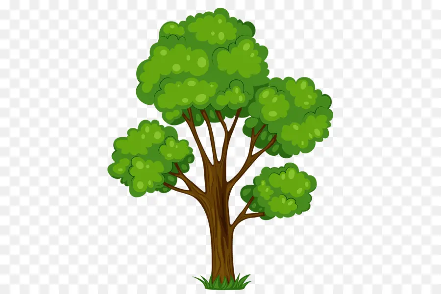дерево，бесплатный контент PNG