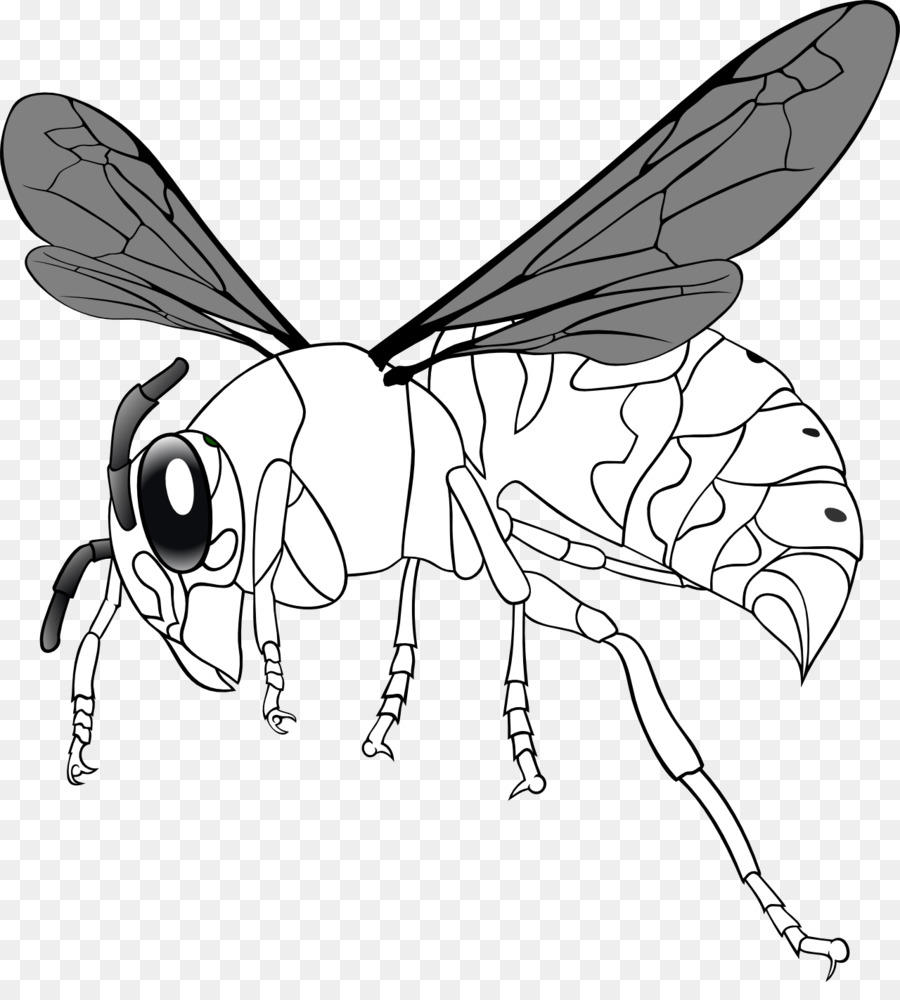 Пчела и Шершень раскраска