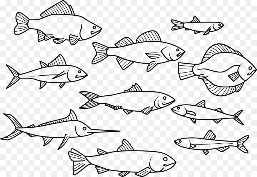 рыбы，рисунок PNG