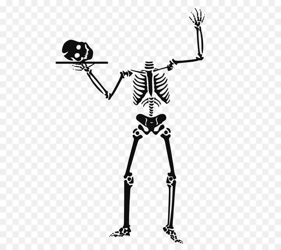 Хэллоуин，скелет человека PNG