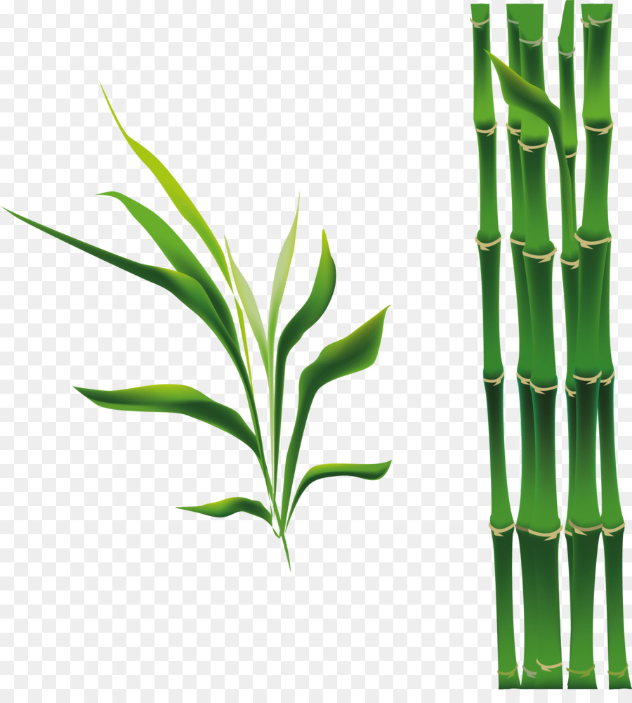 Ветка бамбука вектор
