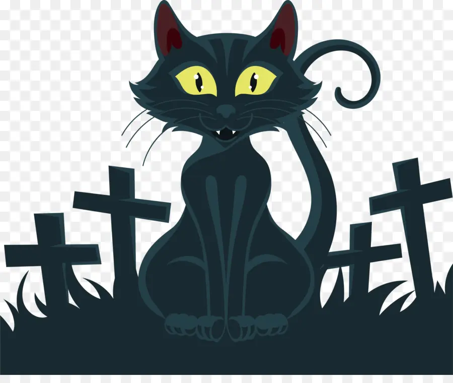 черный кот，кошка PNG