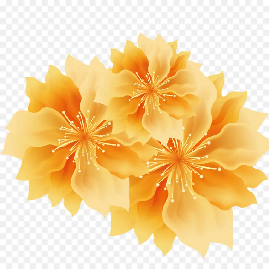 желтый，цветок PNG