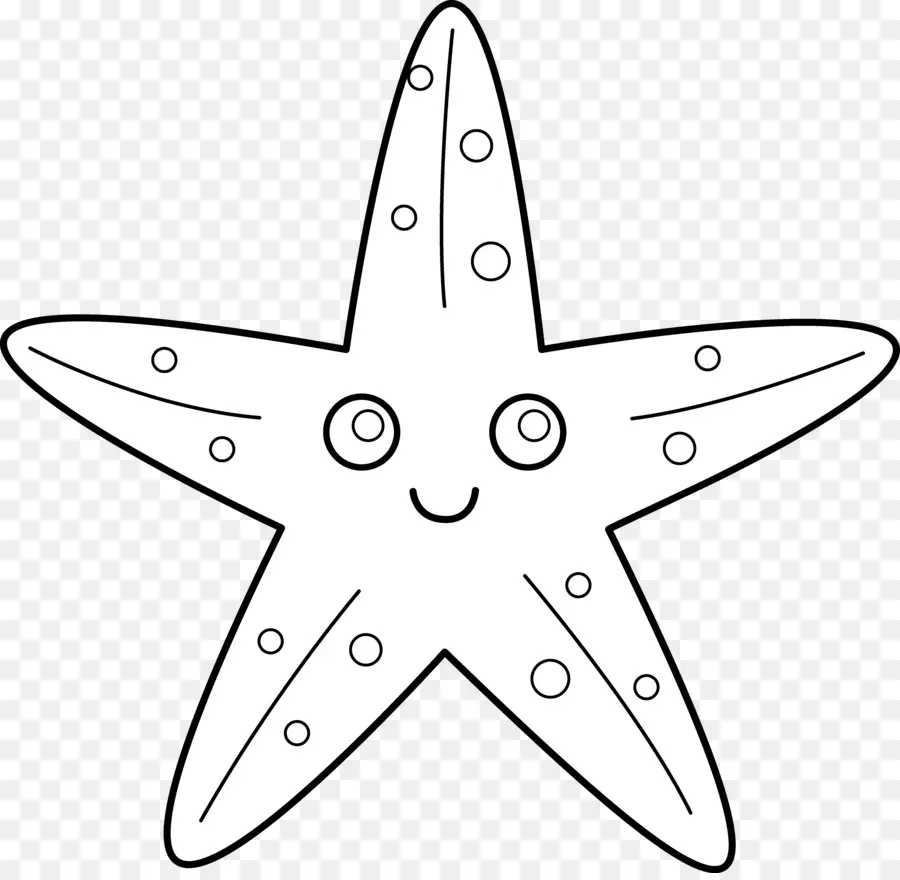 морская звезда，черный и белый PNG