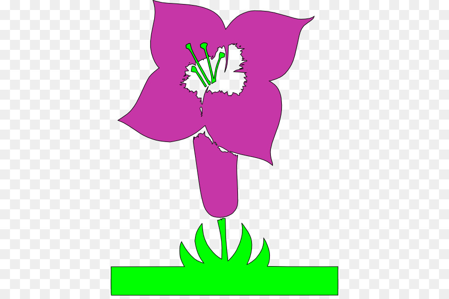 цветок，плакат PNG