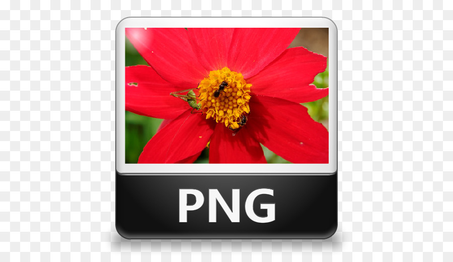 компьютерные иконки，файл с расширением Jpeg PNG