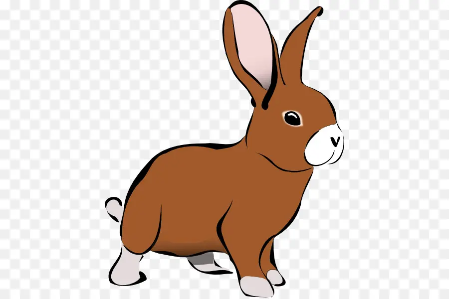 кролик，бесплатный контент PNG