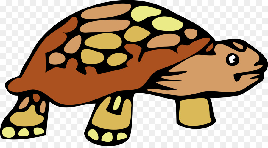 черепаха，стоковая фотография PNG