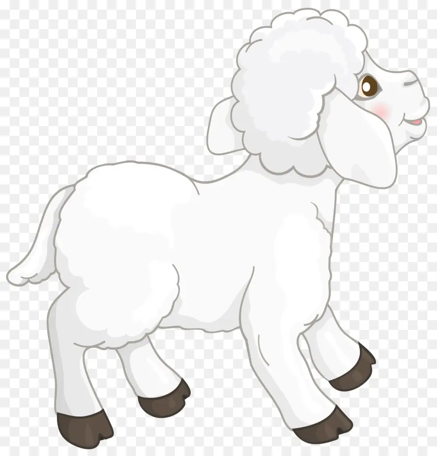 овцы，коза PNG
