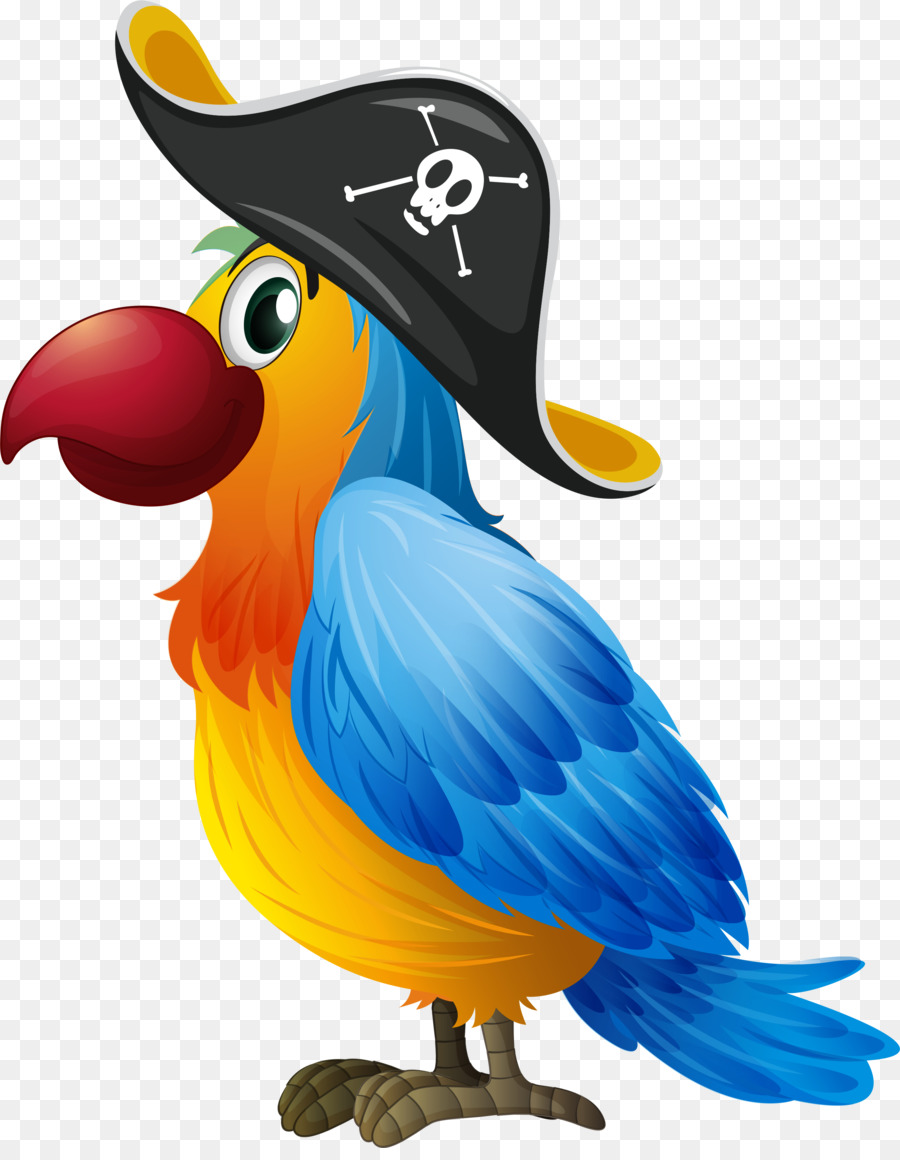 Amazon попугай，рисунок PNG