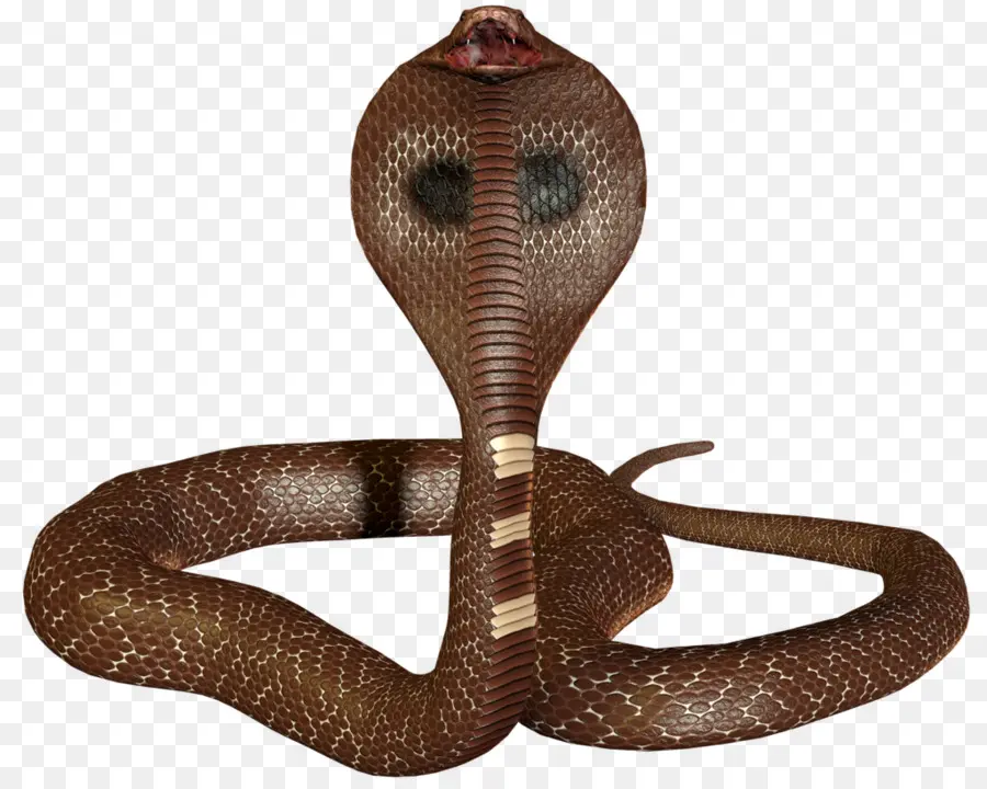 змея，3d змея PNG