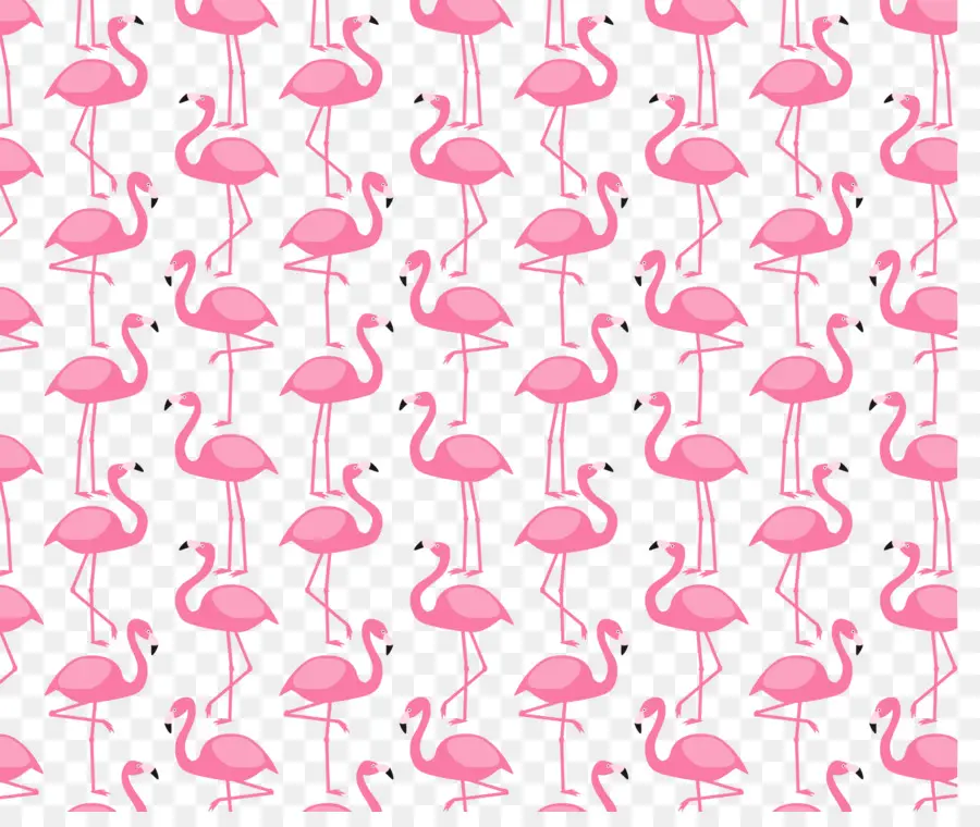 пластиковые фламинго，фламинго PNG