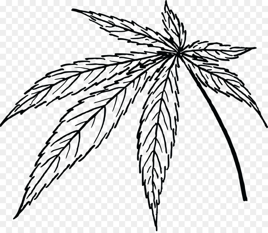 рисунок лист марихуаны