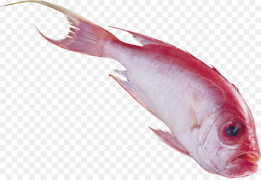 рыбы，Nemipterus Virgatus PNG