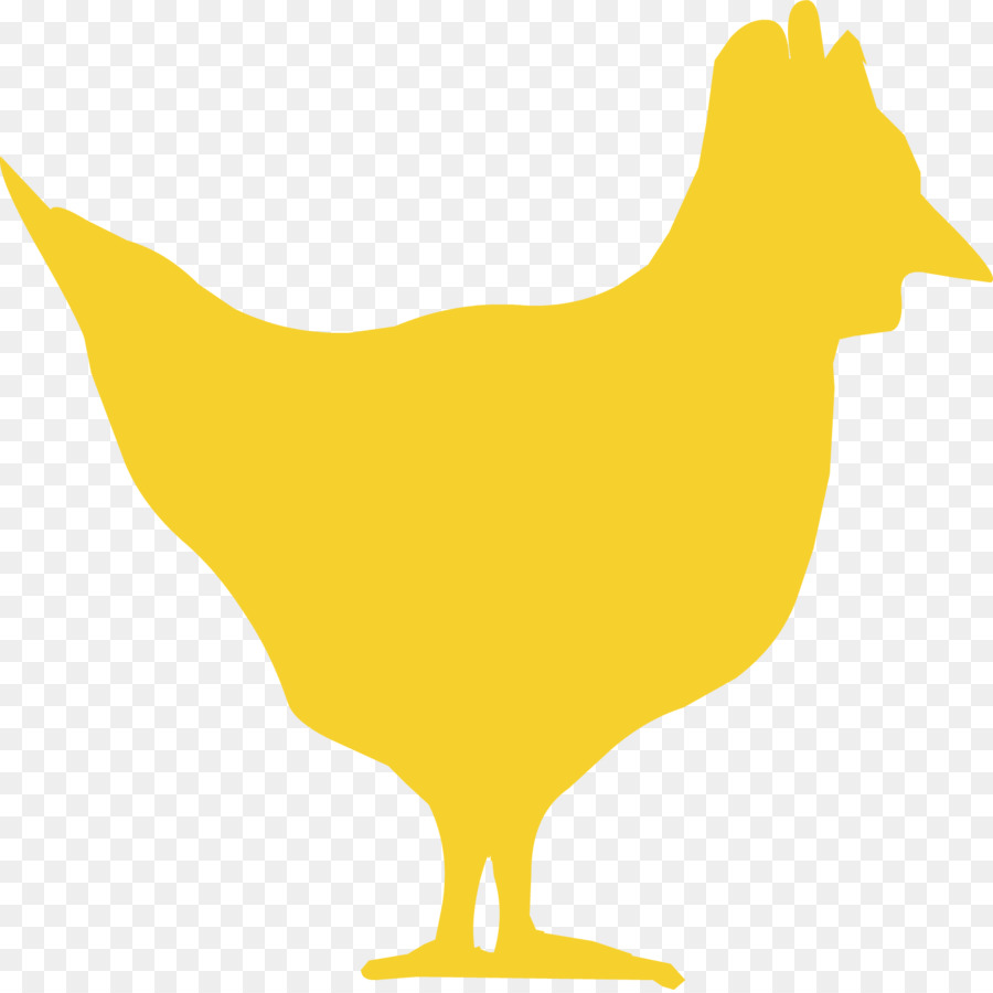 курица，птица PNG