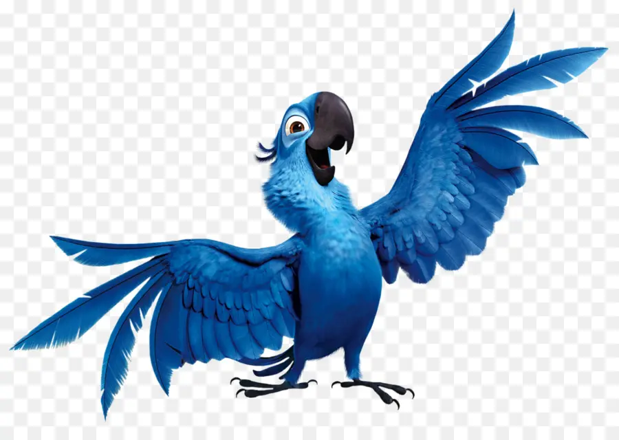 злые птицы Рио，злые птицы PNG