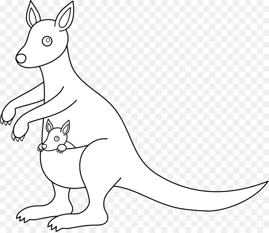 красный кенгуру，Восточный серый кенгуру PNG