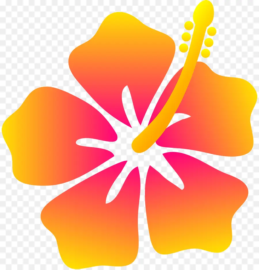 Гавайи，гибискус PNG