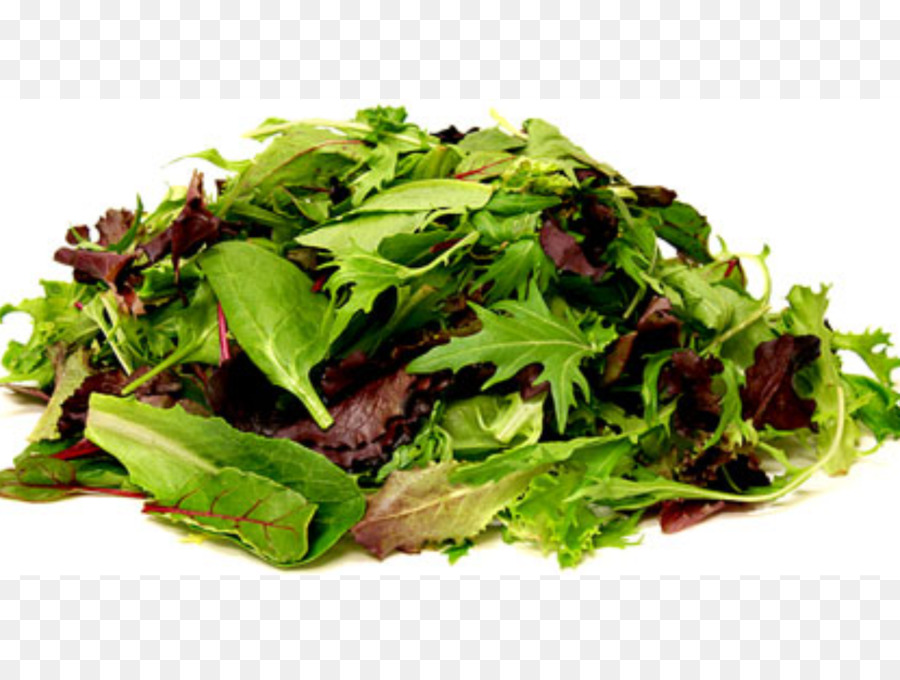 салат，органические продукты питания PNG