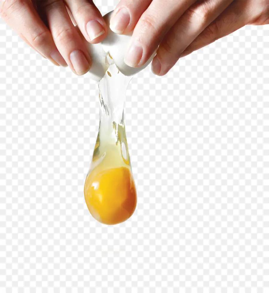 яйцо，желток PNG