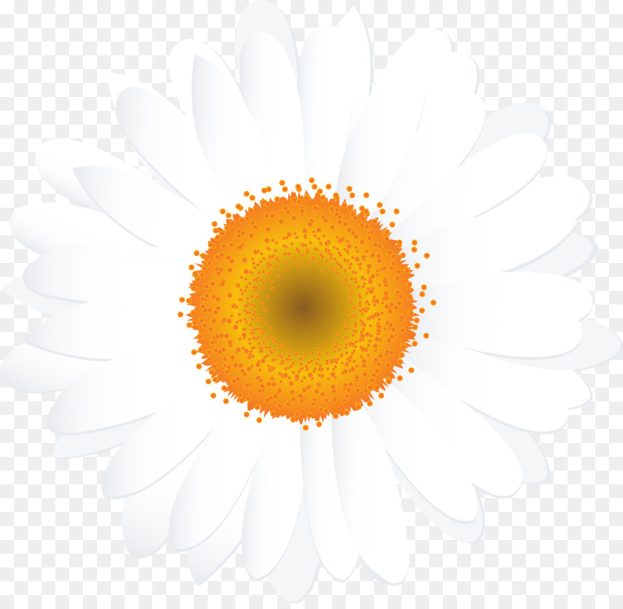 цветок，инкапсулированный Postscript PNG