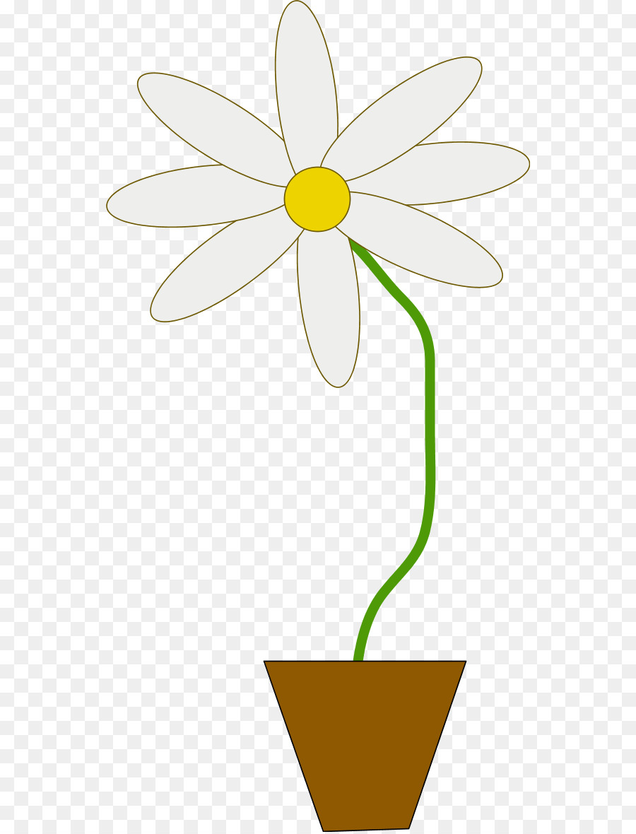 рисунок，цветок PNG