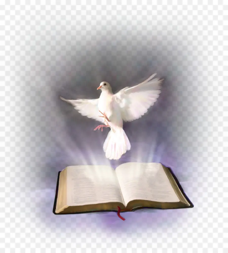 Библия，Святой Дух PNG