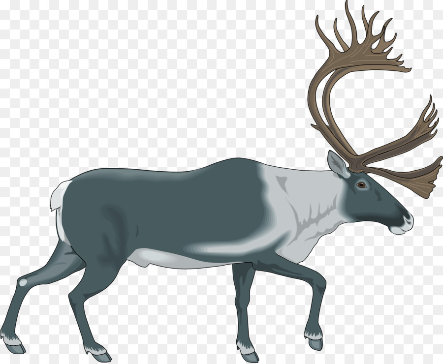 Reindeer，Elk PNG