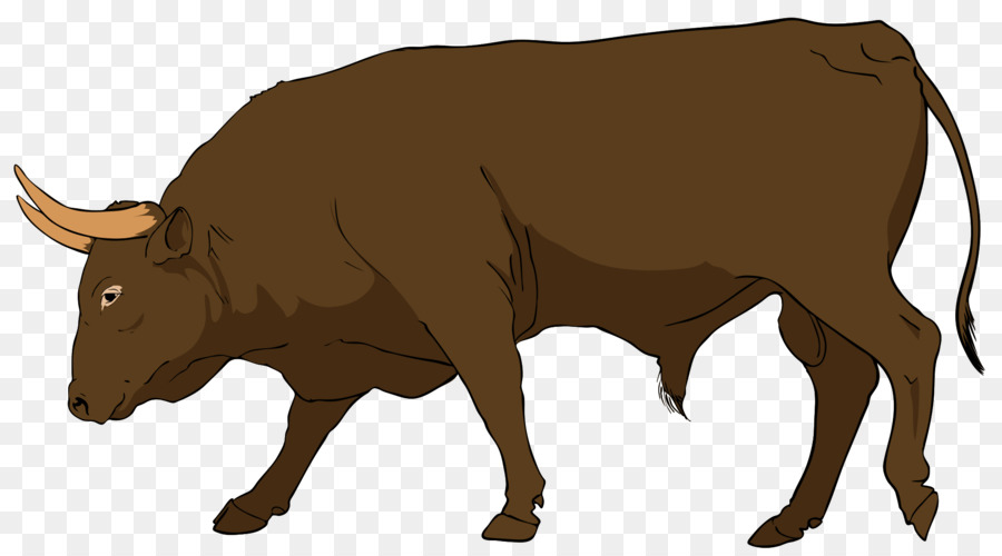 Ангус крупного рогатого скота，крупный рогатый скот PNG