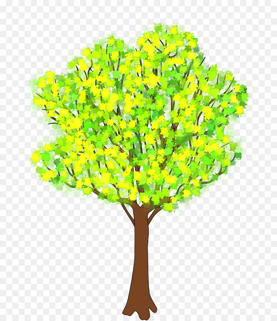 дерево，весна PNG