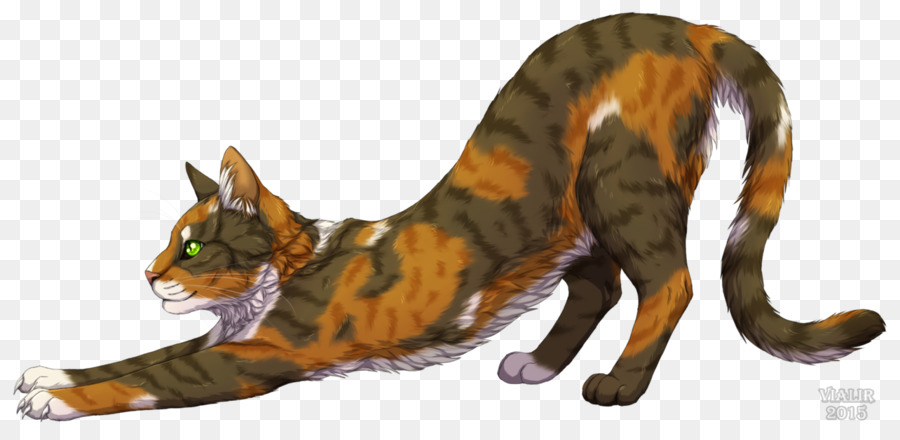 кошка，Tawnypelt PNG