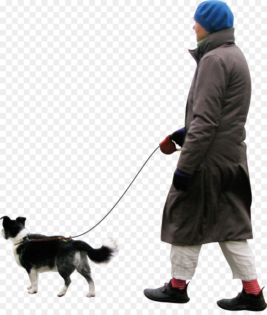 Человек гуляет с собакой