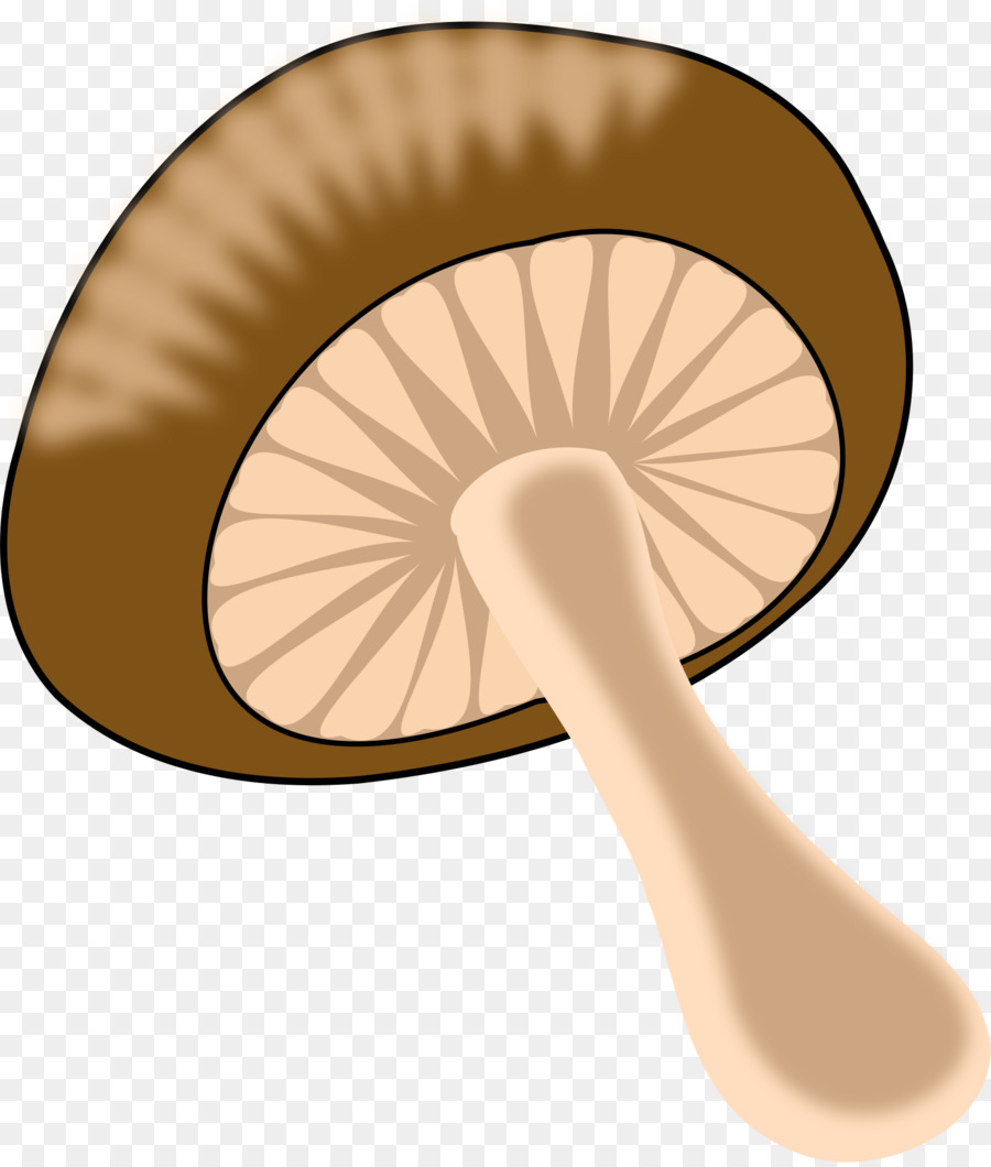 гриб，шампиньон обыкновенный PNG