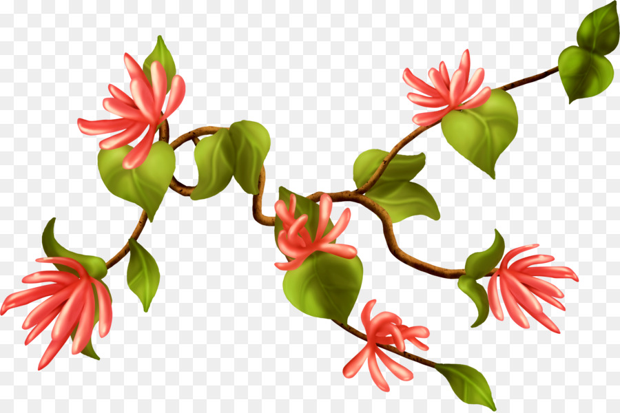 цветок，стебель растения PNG