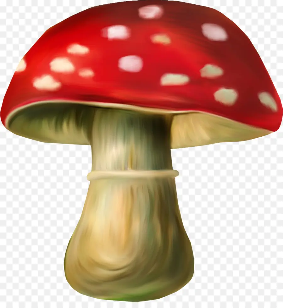 гном，гриб PNG